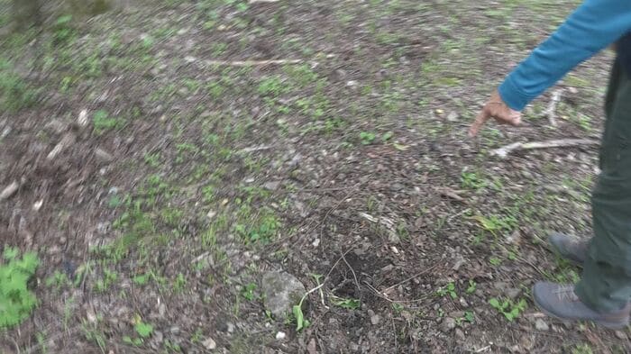 男性が掘り返された状態を発見