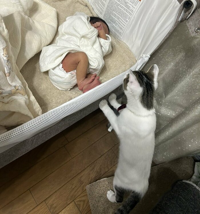 子守り中