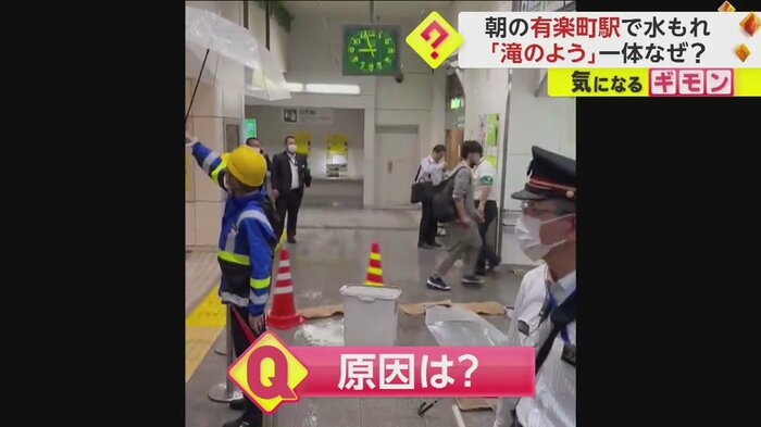 (視聴者撮影)