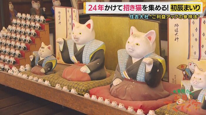 コンプリートには最低でも24年かかる