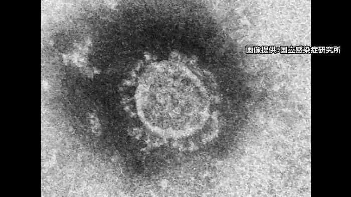 政府が基本方針を発表 命を守るため「この1~2週間が瀬戸際」今、私たちができることとは?徹底解説