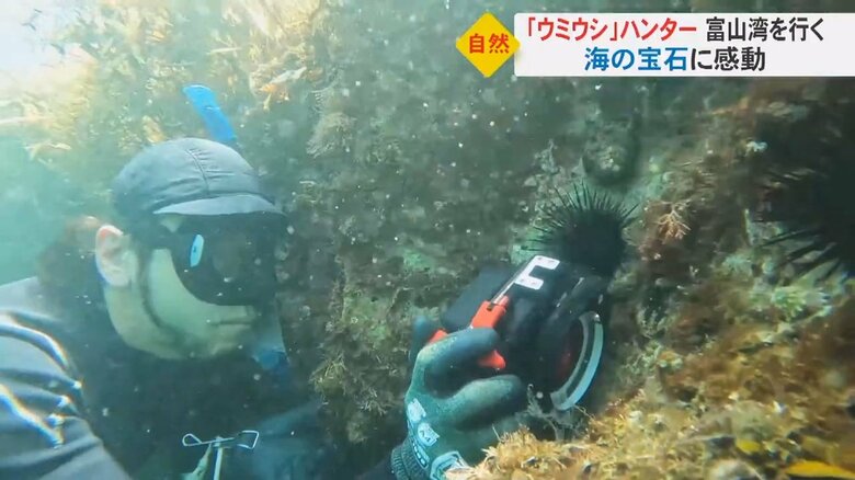 “海の宝石”を探して…「ウミウシ」ハンターに密着　富山湾の魅力を発信「色んな生き物がいることを知ってほしい」｜FNNプライムオンライン