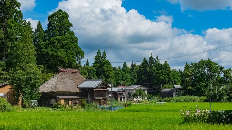 縄文時代から続く「荻ノ島環状集落」を散歩!なぜ環状?夏が似合う日本の原風景の秘密【一人旅研究会の“日本”ノスタルジック写真館】|FNNプライムオンライン