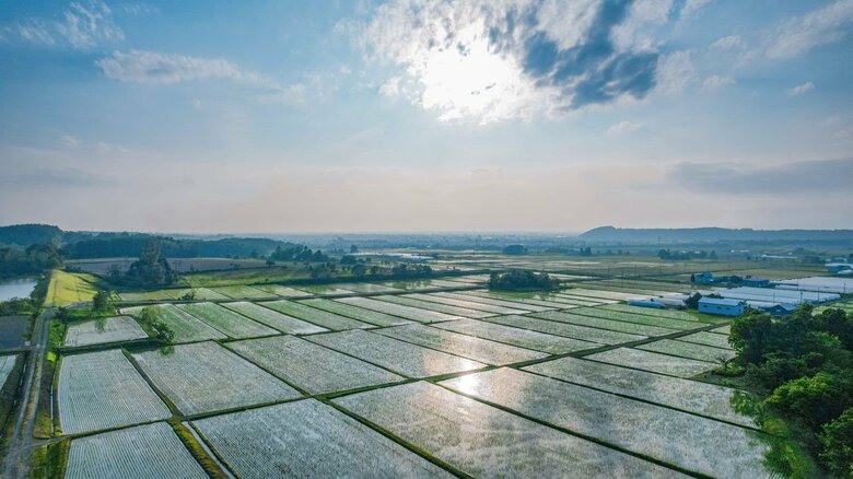 青空うつす水鏡とまっすぐな畦道をゆく…北海道・東日本の田園風景【一人旅研究会の“日本”ノスタルジック写真館】｜FNNプライムオンライン