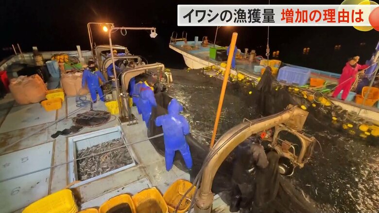 網におびただしい数のイワシ…富山湾の漁獲量トップ 増え続ける理由と富山湾で今何が起きているのか｜FNNプライムオンライン