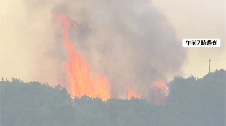 愛媛・岡山の山火事いまだ鎮火せず…愛媛県では平成以降過去最大の被害に　岡山市では“小康状態”も安全確保のため付近の小中学校で終業式延期に｜FNNプライムオンライン