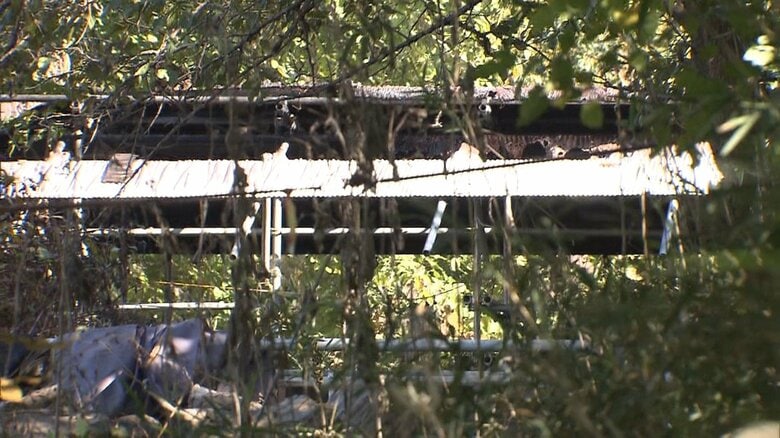 馬3頭が焼け死ぬ…50頭飼育の厩舎から火が出て3棟が全焼し複数の馬がやけど　暖房器具は使用せず　埼玉・狭山市｜FNNプライムオンライン