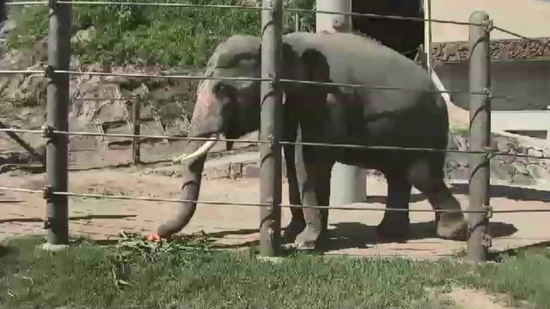 規格外の野菜や果物を動物園にプレゼント　年間約3トンのフードロス削減　エサのコストダウンにも　福岡｜FNNプライムオンライン