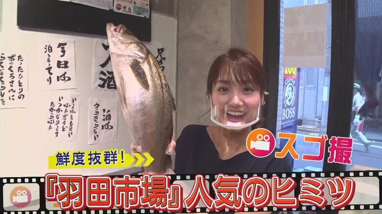 安くて鮮度抜群！北海道でとれた魚をその日のうちに東京で…大人気「羽田市場」の“超速空輸”に密着｜FNNプライムオンライン