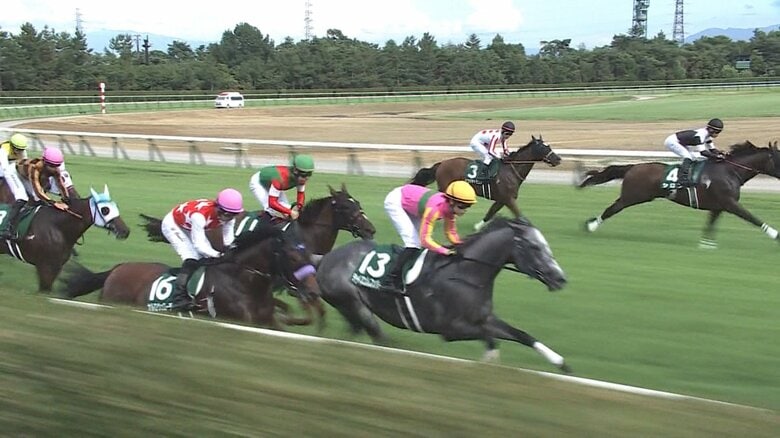 【国内唯一の直線1000m重賞 アイビスSD・G3】乗り替わりから再び頂点へ “千直”に挑む田辺裕信騎手に注目|FNNプライムオンライン