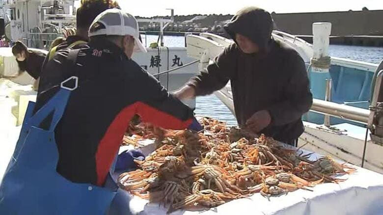 解禁！越前がに漁　初日の出漁は3年ぶり　漁港に活気　福井｜FNNプライムオンライン