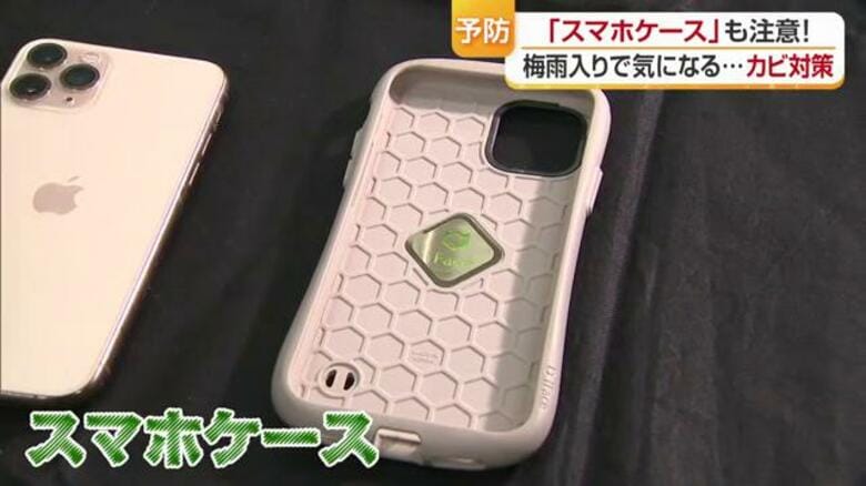 “あなたのスマホにカビが生える！？” 微生物の専門家が警鐘「温度・湿度・身近な汚れの３条件に気をつけて」【愛媛発】｜FNNプライムオンライン