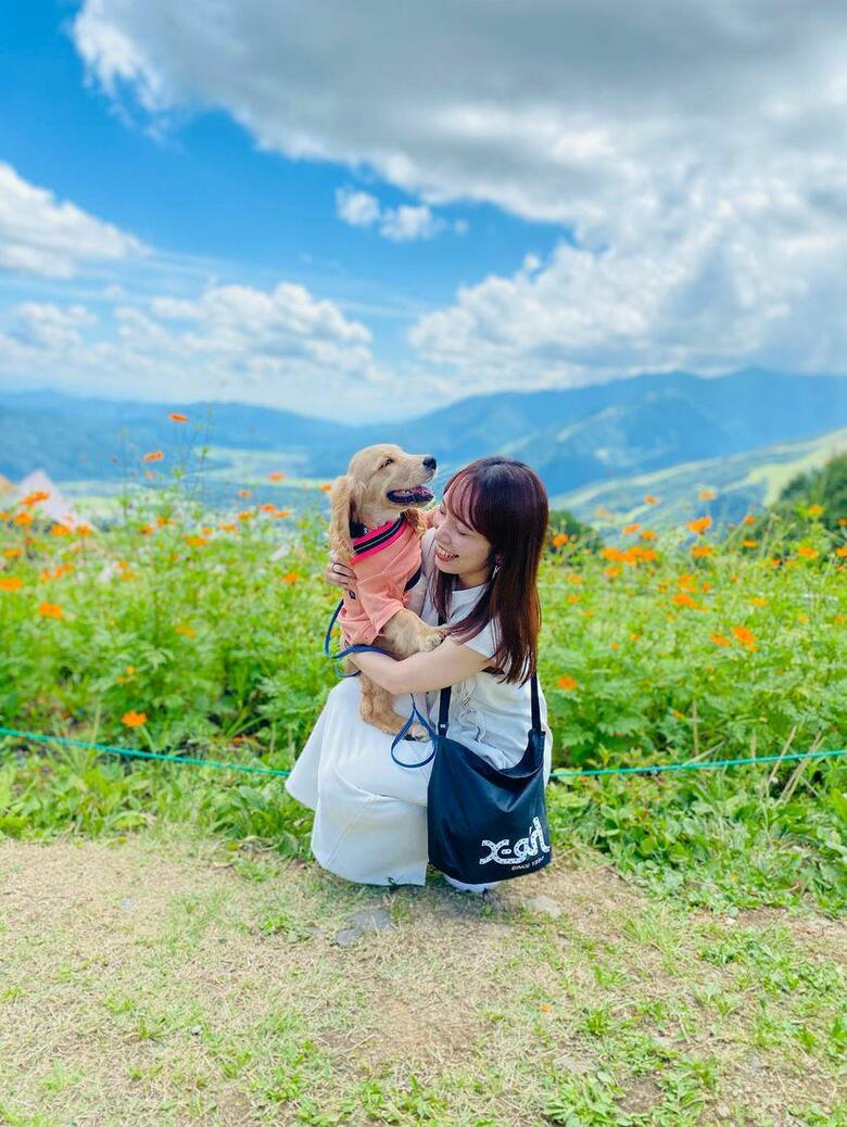 提供：関口和也さん