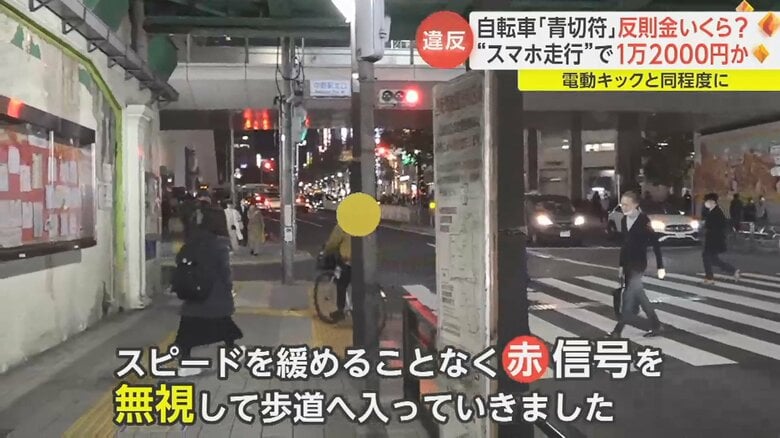 車道を走っていた自転車が、赤信号を無視して歩道へ進入