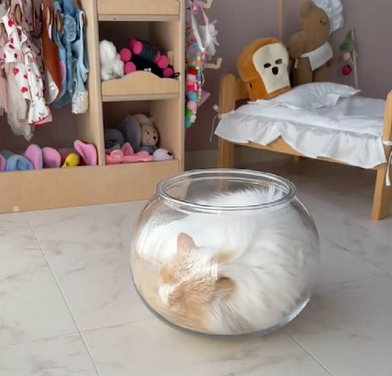 “液体”になった