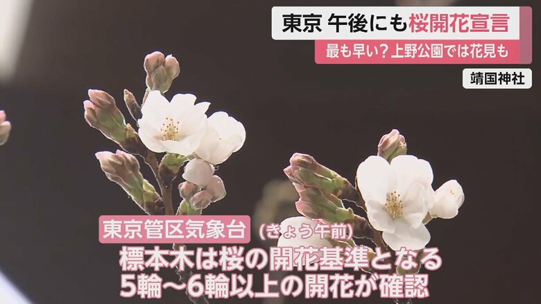靖国神社の桜の様子（14日午前 東京･千代田区）