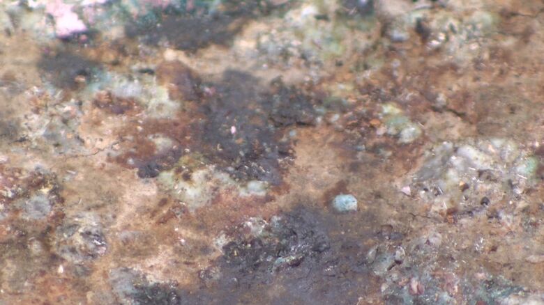 硬貨などの副葬品を棺に入れることが、台車の損傷を進めている