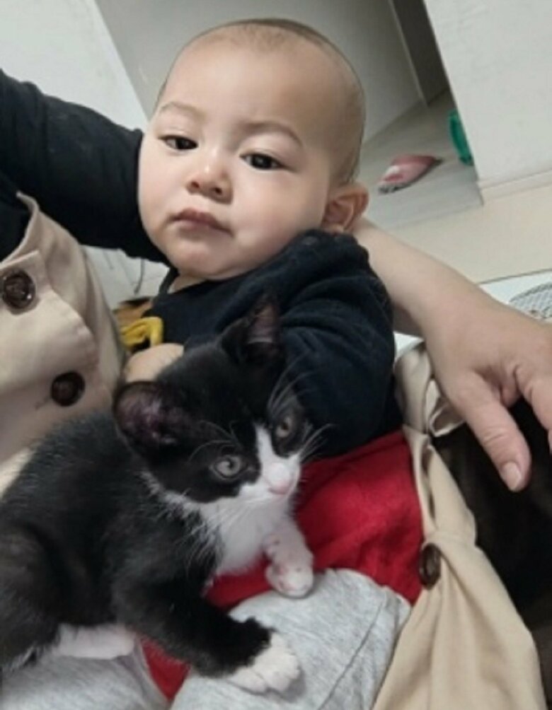 リヴァイくんが上に乗っている　少し不満そう？な蓮慈くん