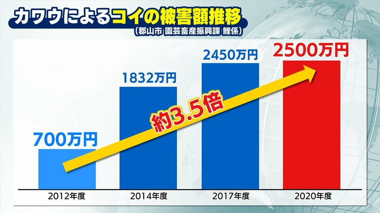 郡山市のカワウによる被害