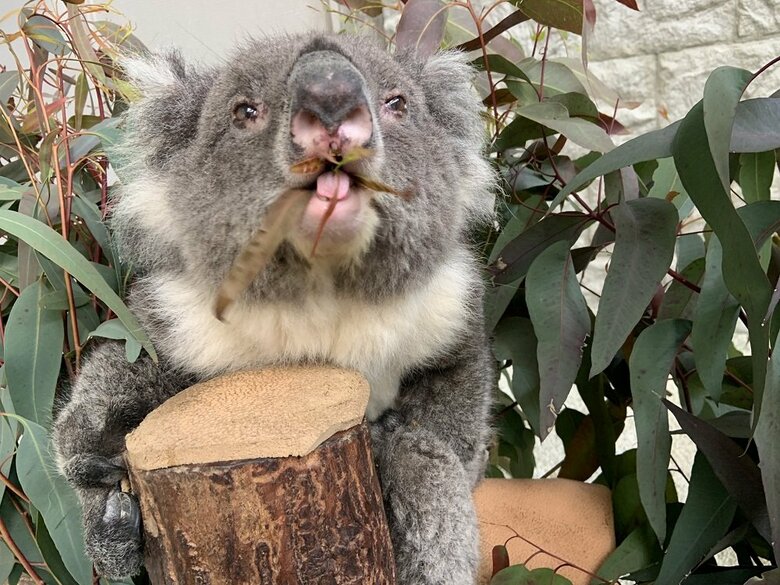 うまい！（提供：イングランドの丘）