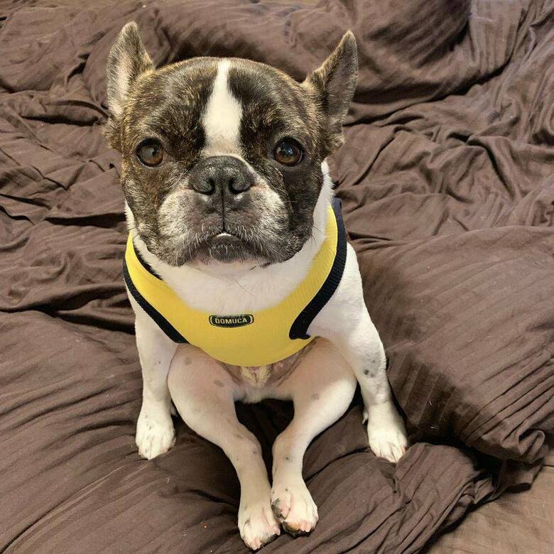 提供：丸男さん