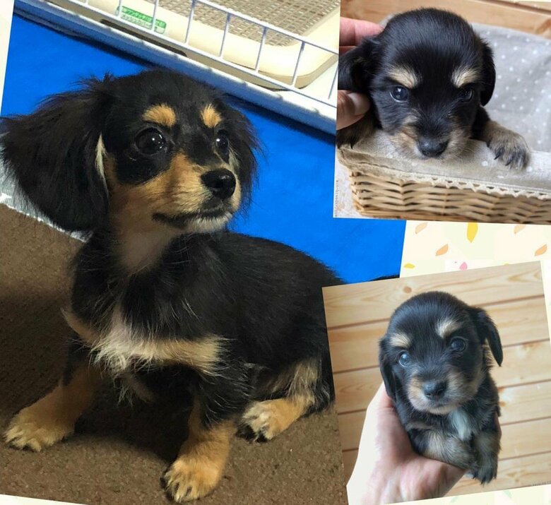 小さい頃の小太郎くん