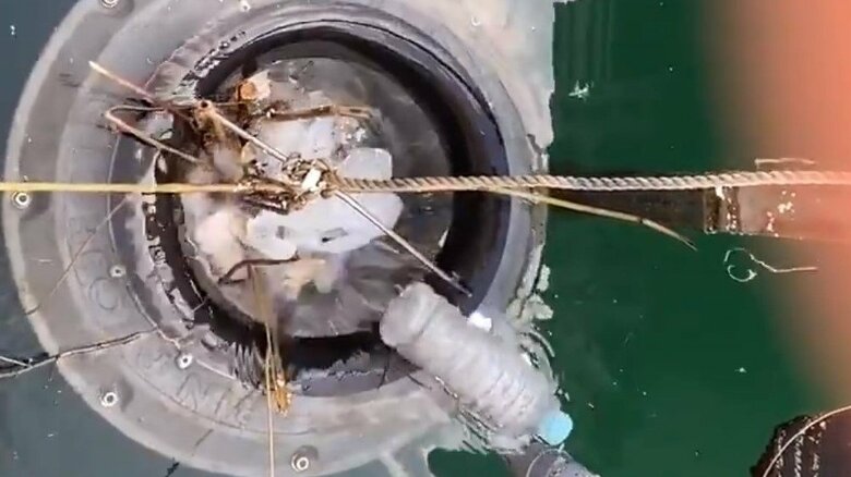 ペットボトルが吸い込まれる様子（提供：平泉洋行）