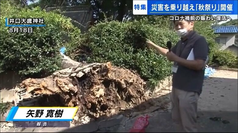 台風で倒れた御神木