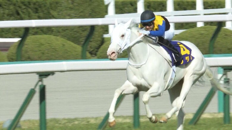 2021年 桜花賞を勝った ソダシ