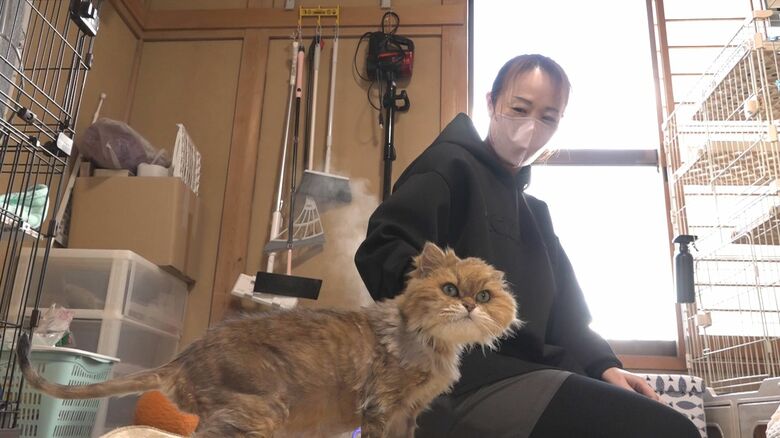 自宅で「雷」を世話する後藤さん