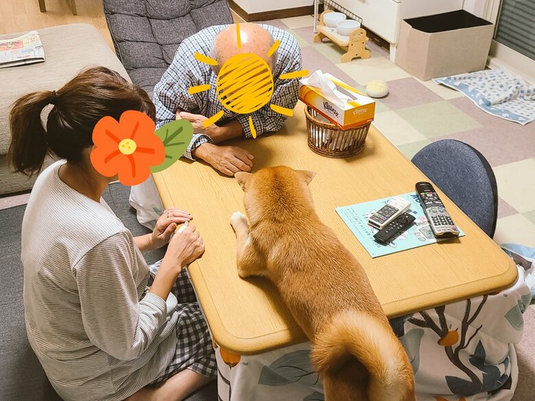 団欒中（提供：犬さん）
