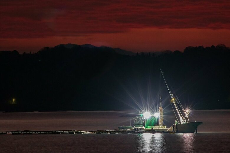漁船の漁火　イメージ