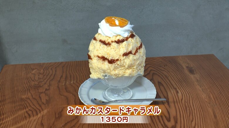 運ばれてきたのは大きなかき氷