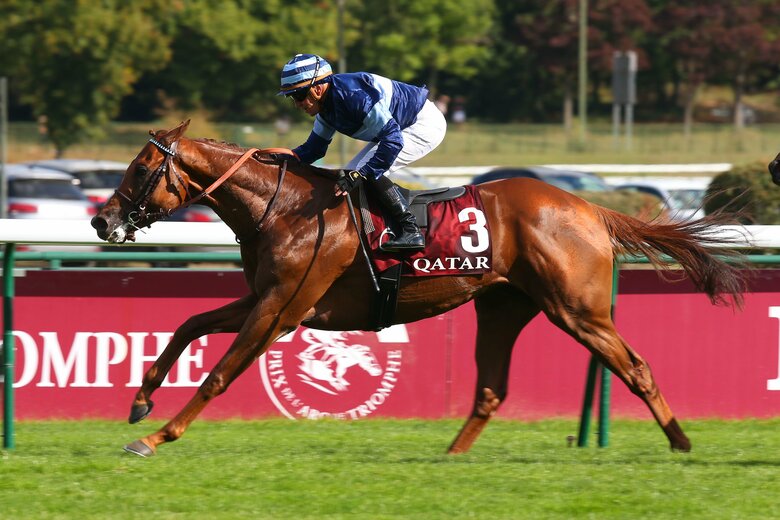 シムカミル©Scoopdyga