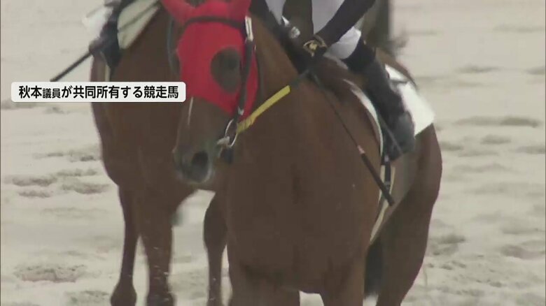 秋本議員が共同所有する競走馬