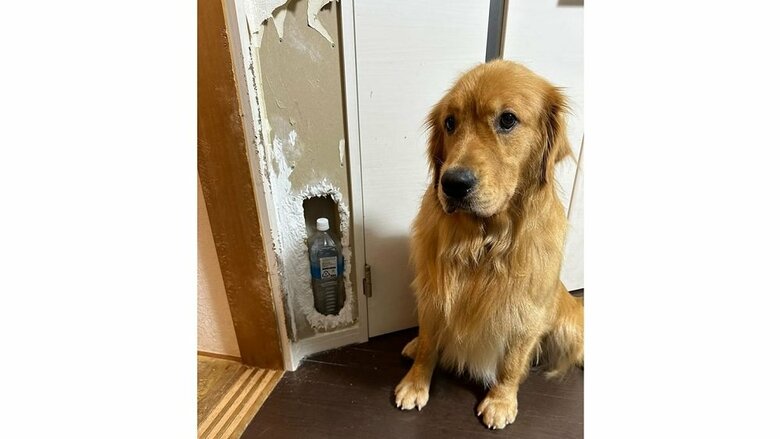 現在も穴はそのまま　非常用に水と缶詰めなどを収納できるようになったそう