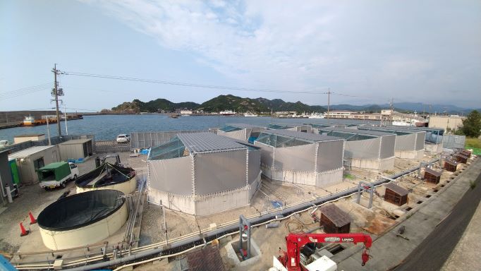 陸上養殖をする施設「地下海水井戸陸上養殖センター」（提供：JR西日本）