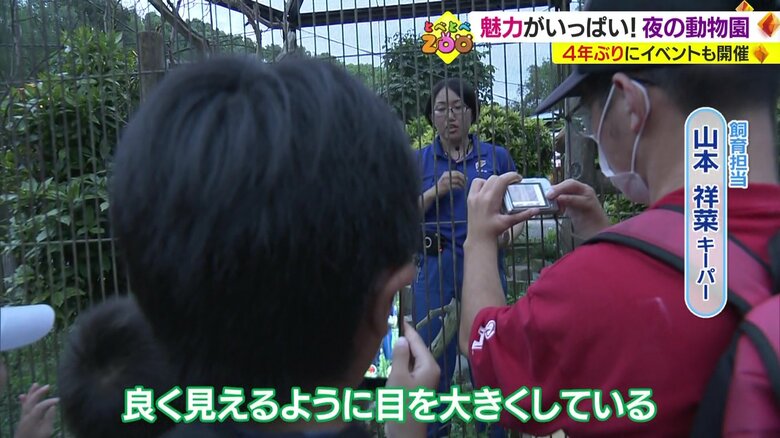 飼育担当 山本祥菜キーパー