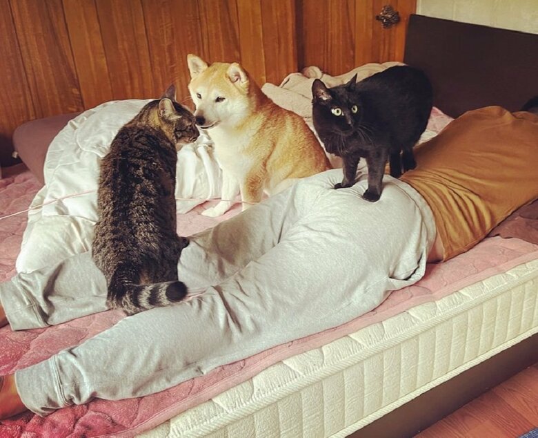 マッサージ中？