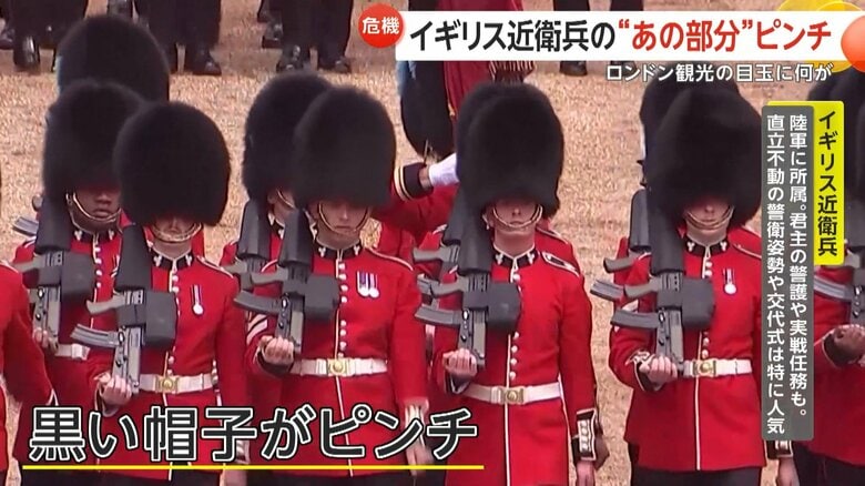 イギリス近衛兵の“黒い帽子”がピンチに