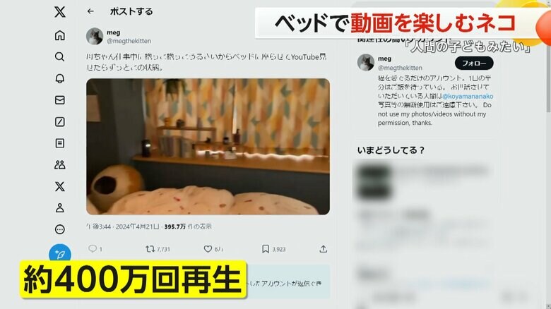 400万回近く再生され「人間の子どもみたい」と話題となっているSNSの映像