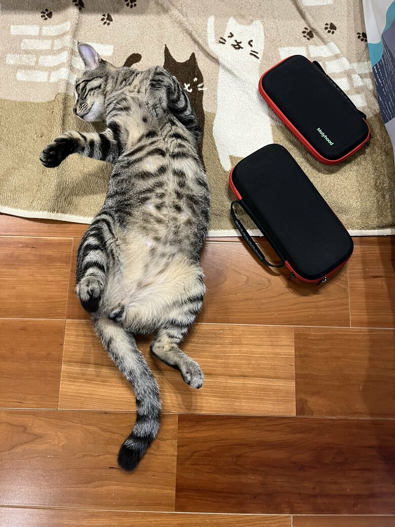 提供：かぎしっぽすず&つむぎさん