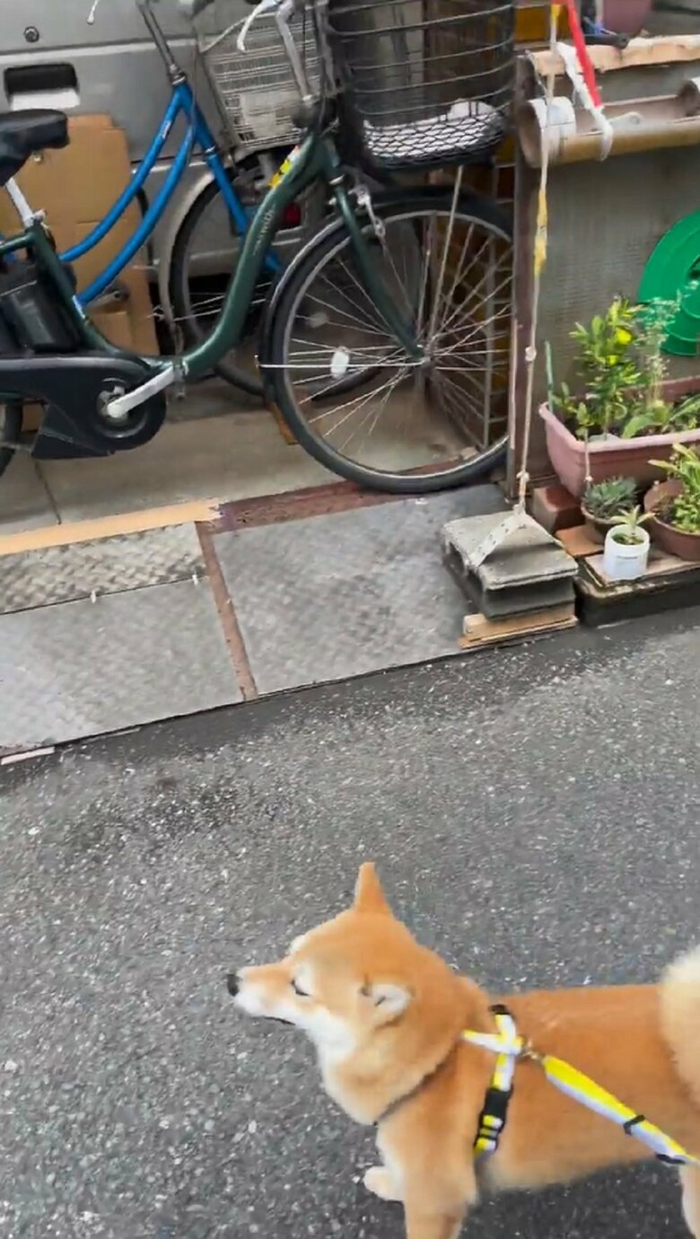 青果店から少し進んでも後ろを振り返り…