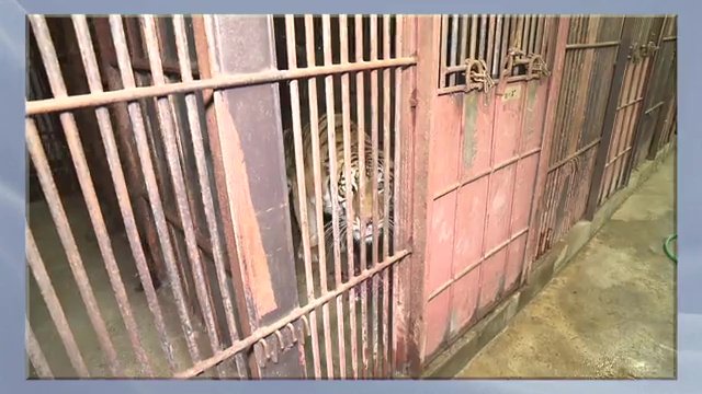 2017年に撮影した檻の様子　同様の檻で事故は起きた