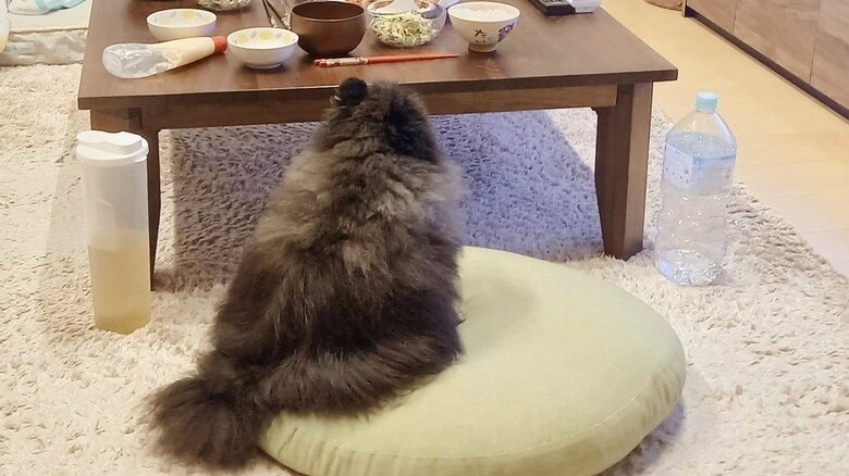 食卓には誰よりも早く来る