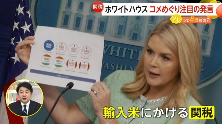 日本のアメリカ産米への関税に言及した米・レビット報道官