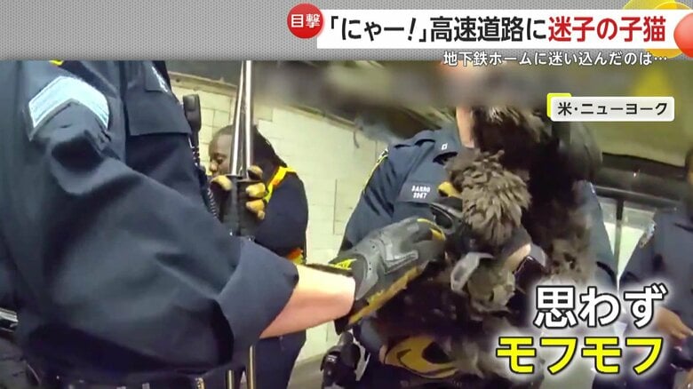 ホームの下でお座りをしていたフサフサの黒い毛が特徴の子犬
