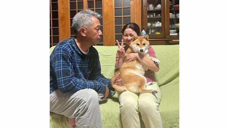 むぎちゃんを抱っこしたいお父さんは、尻尾をつかんでいる…