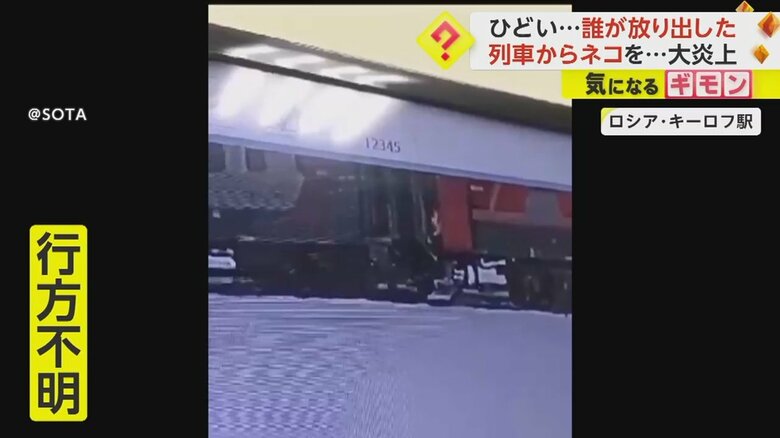 ロシア・キーロフ駅でネコのツイックスを車掌が列車の外に放り出す瞬間①