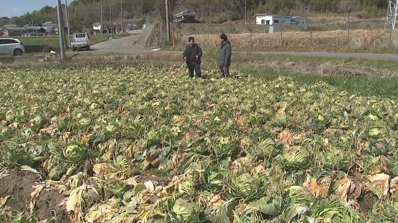 国東市　松原ファーム